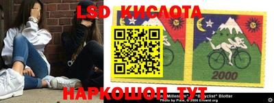 прущие грибы Кулебаки