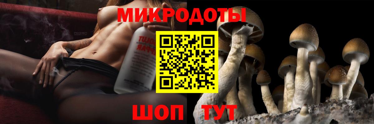 Заволжье  Галлюциногенные грибы мухоморы  купить   Вход с VPN 